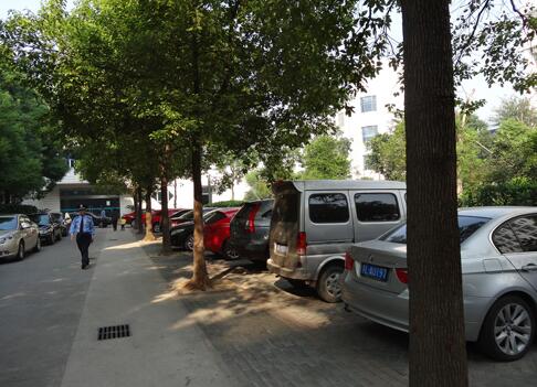揚中物業(yè)有哪些可實施的發(fā)展方向?